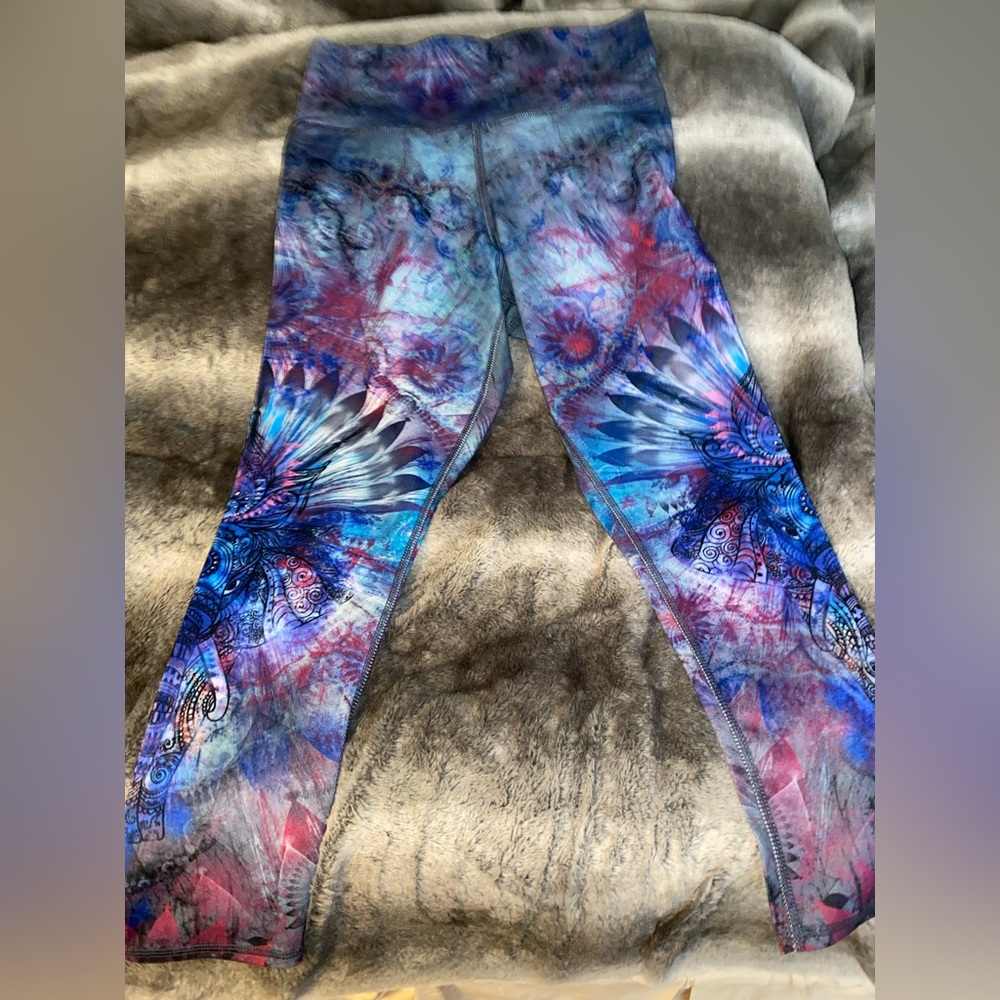 Evolution and creation, size large